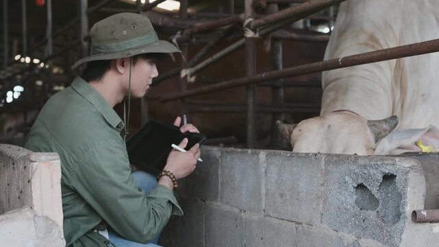 Asian farmer wearing safari hat inspecting cattle feeding and writing data with tablet. Concept of smart farming, livestock agriculture, animal husbandry, smart agribusiness , countryside dairy ranch.