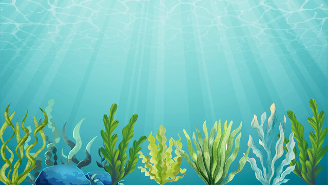 Underwater ocean floor with seaweed and light rays