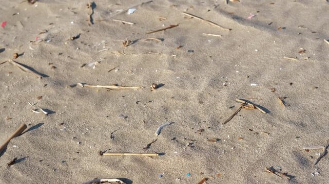 Microplastics on the beach. Gentle wind blowing grains of sand and small debris like microplastics and twigs across a desolate beach, creating a subtle, moving texture on the ground