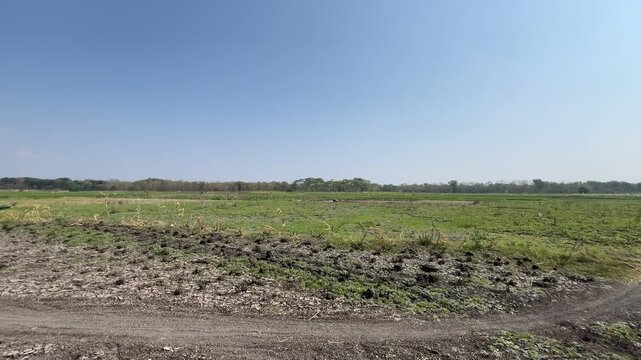 Dry agricultural fields extend beside a shrinking lake in rural Indonesia, as a slow camera pan reveals cultivated land, exposed soil, and seasonal water scarcity.