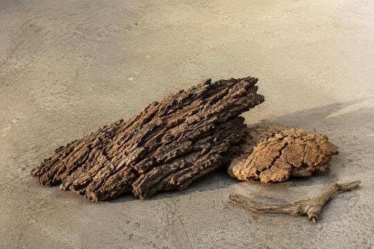 Gnarled tree bark with dry earth clod and bent twig, organic resilience and raw nature concept