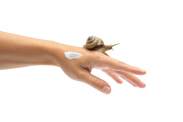 Skin care. Snail moves slowly over hand applied with skin care cream. Unique beauty concept, PNG © Atlas