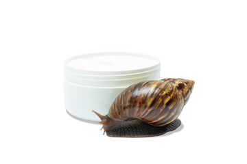 Skin care. Snail explores skincare product container on clean surface, PNG © Atlas
