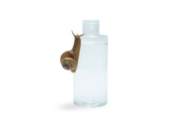 Skin care. Snail explores bottle of skin care product showcasing innovative formulation, PNG © Atlas