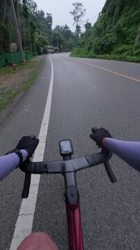 Cyclist's Perspective on a Serene Curved Road Surrounded by Lush Greenery and Trees in a Tranquil Outdoor Setting