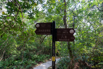 Obraz premium Lush Green Hiking Path on Section 5 of the Taipei Grand Trail in Neihu, Taiwan