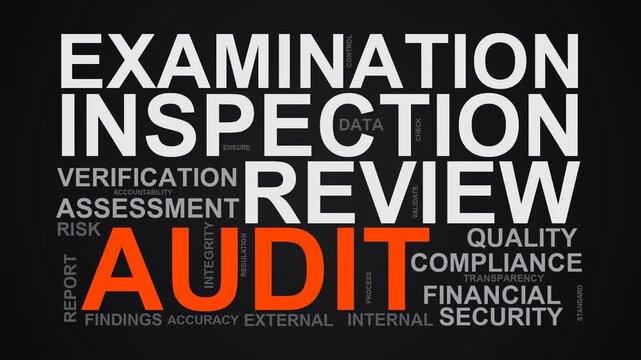 Audit Word Cloud