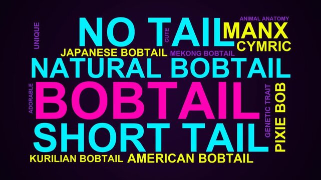 Bobtail Word Cloud