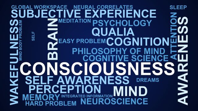 Consciousness Word Cloud