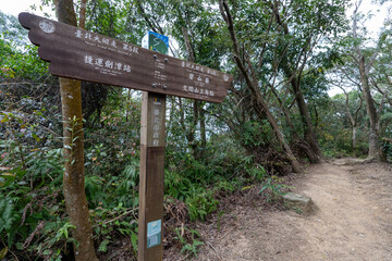 Obraz premium Lush Green Hiking Path on Section 5 of the Taipei Grand Trail in Neihu, Taiwan