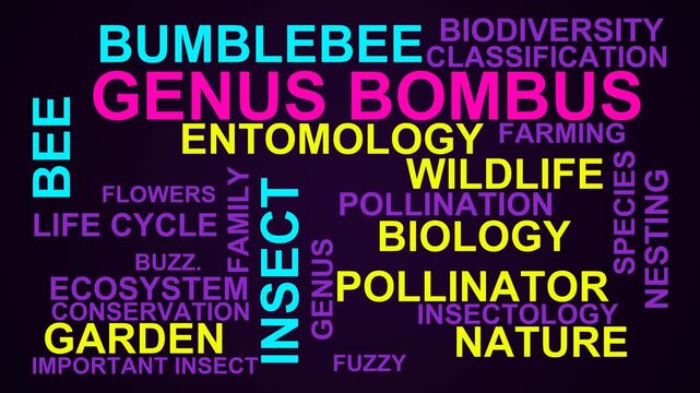 Genus Bombus Word Cloud