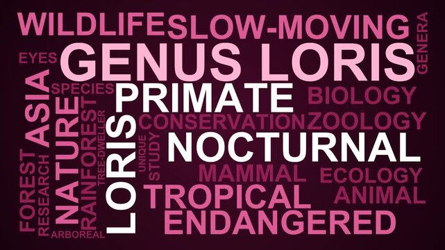 Genus Loris Word Cloud