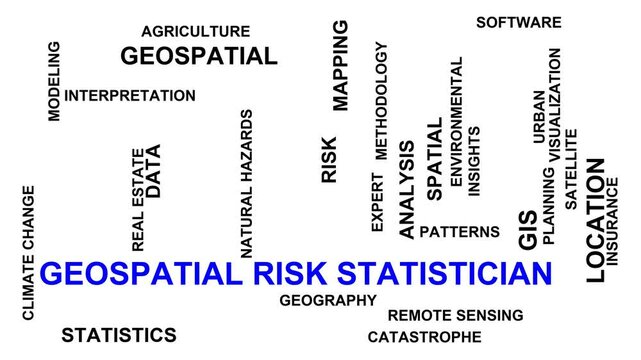 Geospatial Risk Statistician Word Cloud