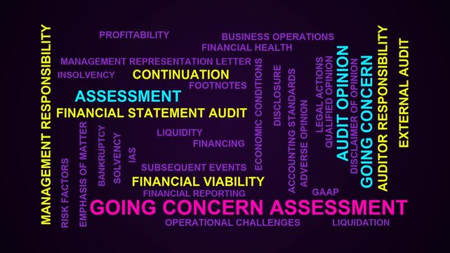 Going Concern Assessment Word Cloud