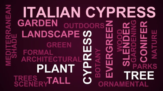 Italian Cypress Word Cloud