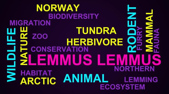 Lemmus Lemmus Word Cloud