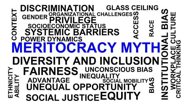 Meritocracy Myth Word Cloud