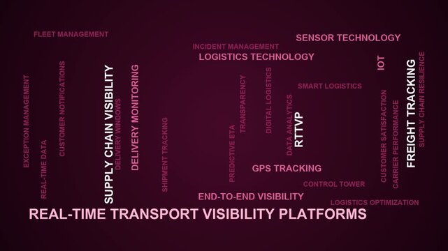 Real-Time Transport Visibility Platforms Word Cloud