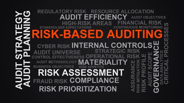 Risk-Based Auditing Word Cloud