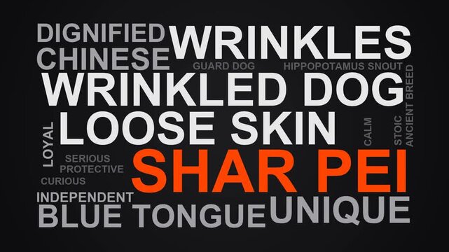 Shar Pei Word Cloud