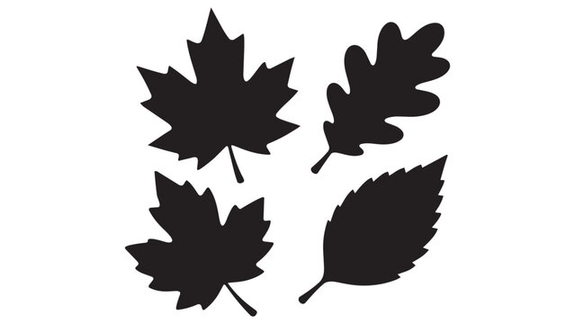 Black and white silhouette of four different leaf shapes