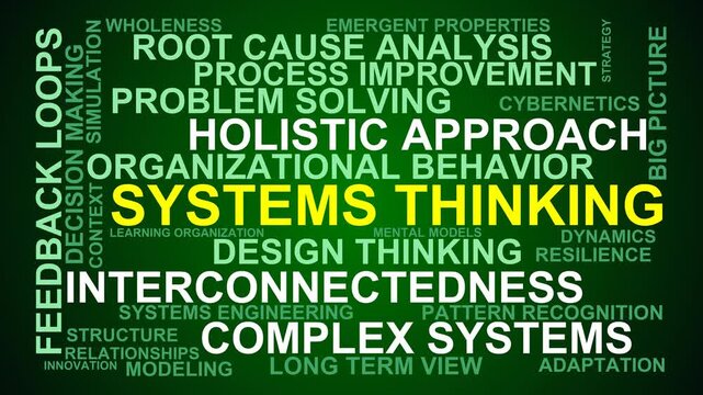 Systems Thinking Word Cloud