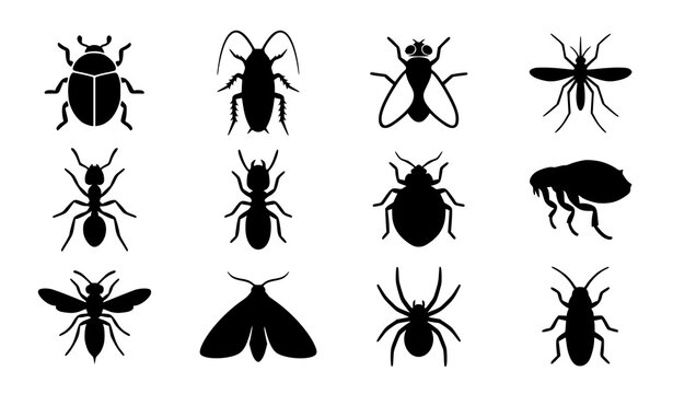 Insect Pest Control Black Icon Set, Beetle Fly Bug and Crawling Pest Vector Collection