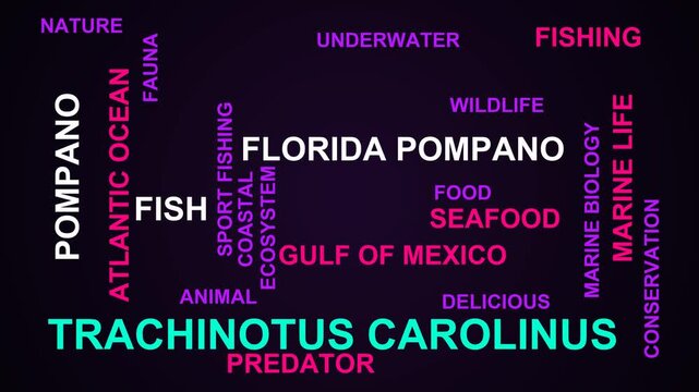 Trachinotus Carolinus Word Cloud