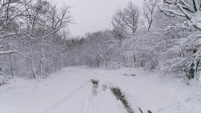 Aerial view of a snowy forest path with tire tracks and slush winding through trees covered in winter snow in Russia.