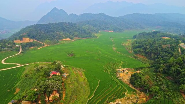 Aerial drone footage of green terraced rice fields in the mountainous region of Pu Luong, Vietnam, with winding roads under a clear blue sky