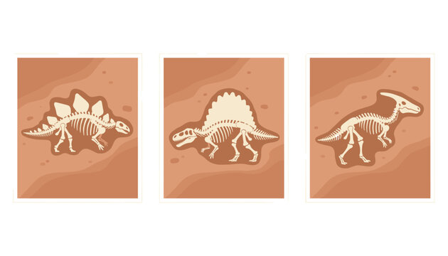 Set of three dinosaur fossil skeleton frames including stegosaurus, spinosaurus, and parasaurolophus on clay.