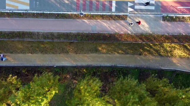 Top view of pedestrians walking along urban sidewalk beside colorful road markings, representing city mobility, pedestrian infrastructure and everyday urban lifestyle.