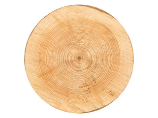 Fototapeta premium Round natural wood slice displaying concentric growth rings isolated on white background. Wood slice features a rustic timber texture and organic pattern for eco-friendly design or education.