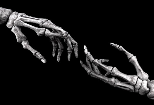 Skeletal hands reaching towards each other in a symbolic gesture of creation or connection