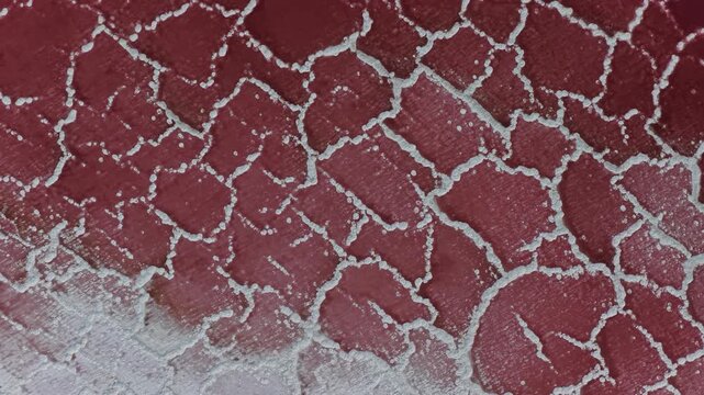 Aerial view of the intricate white salt crust patterns contrasting with the pink-hued water of the Great Salt Lake in Salt Lake City, Utah, United States.