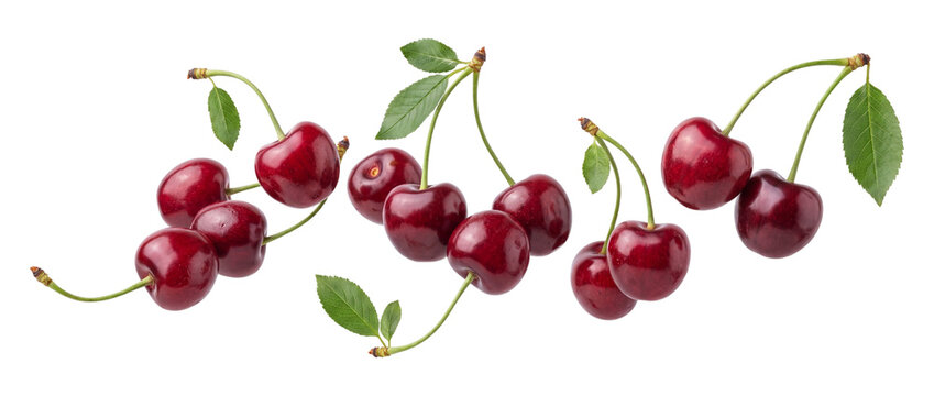 Falling red cherries isolated on transparent background