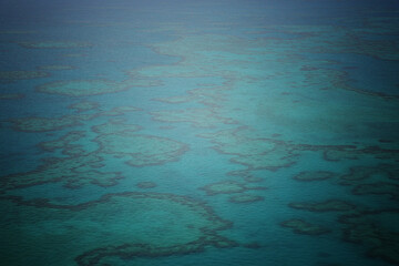The Great barrier reef © Tina
