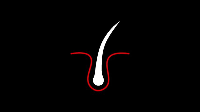 Hair Follicle Icon Animated Motion Graphics Video Skin Hair Growth