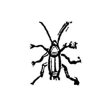 Simple abstract cockroach with bold lines, segmented body, and antennae, old vintage illustration, 1897.