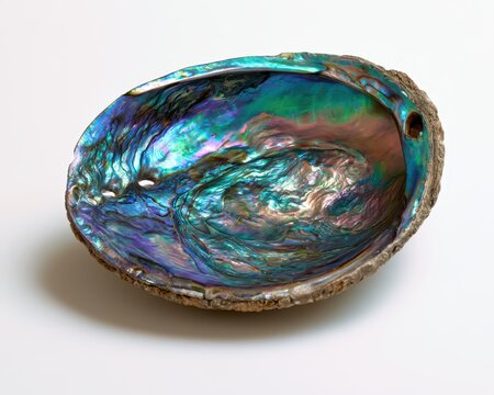 A beautiful, iridescent abalone shell with vibrant blue, green, and purple hues isolated on white background