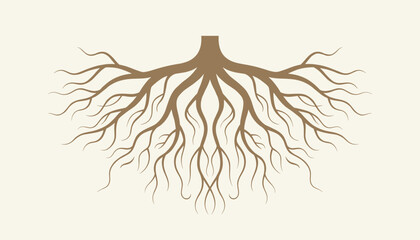 Obraz premium Symmetrical brown tree root system sprawling downwards over a solid light tan background, representing growth.