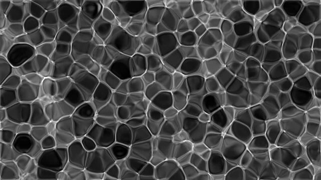 Monochromatic liquid cellular pattern fluctuating with organic grid structures