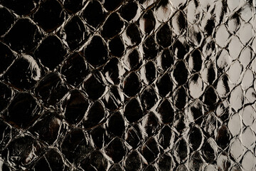 Dark exotic reptile leather texture with glossy python scales for luxury fashion background © reddish