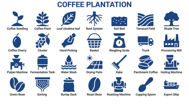Collection of blue icons illustrating coffee plantation processes from seedling to export, isolated on transparent background.