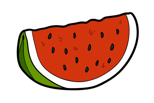 Hand drawn Watermelon in sketch style with black outline. Vector fruit isolated on white background. Colorful image for healthy food themes, printable activities, packaging and clipart