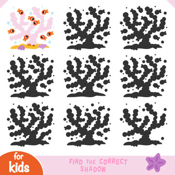 Find the correct shadow game for kids with coral reef and tropical fish. Flat cartoon vector illustration with matching silhouettes. Educational activity worksheet about ocean animals for kids