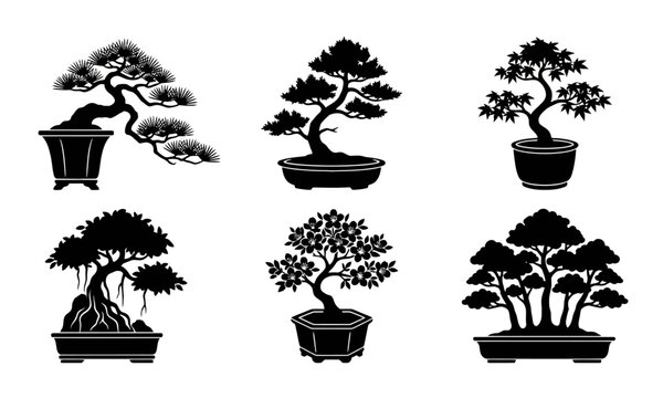 Bonsai trees black silhouette vector set in traditional pots.