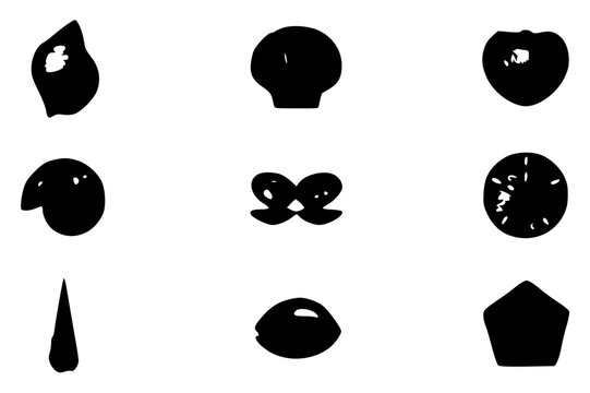 0053 3 high level description a minimalist vect JtBYQ2ycV6CEzQu2 nl0EQ G1t0U0rISZmrBemeIeNDTQ set with simple line art design featuring sketches, drawings, vector graphics with minimalist and simpl...