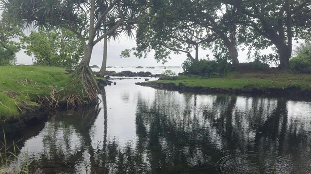 Carl Smith Bay