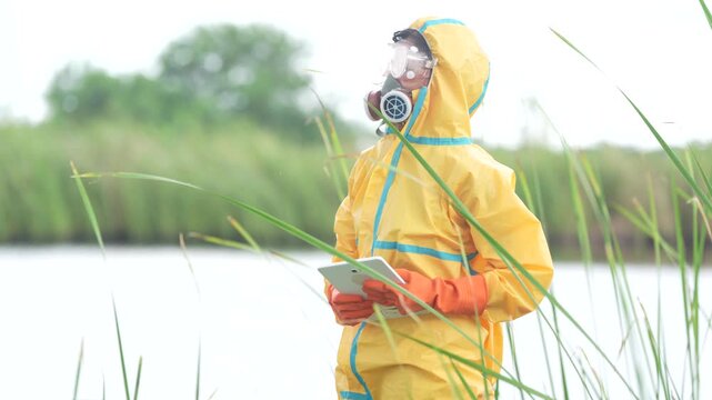 Scientist in protective suit with respirator and glove uses tablet during wetland water pollution monitoring, sampling beside reed shore, recording contamination data, safety control